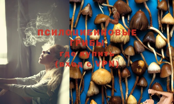 тгк Билибино