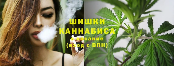 мет Бородино