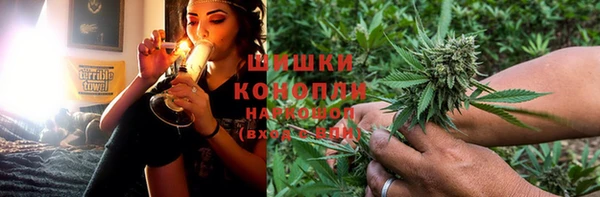 мет Бородино