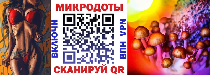 сколько стоит  Вичуга  Галлюциногенные грибы Magic Shrooms 