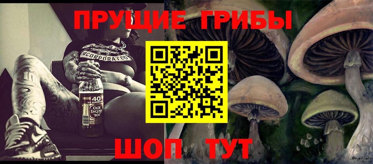 Псилоцибиновые грибы MAGIC MUSHROOMS  Вход с VPN  Вичуга 