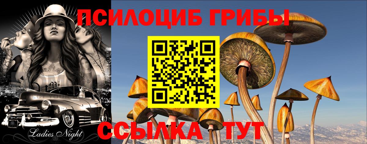 Псилоцибиновые грибы Psilocybine cubensis Вичуга